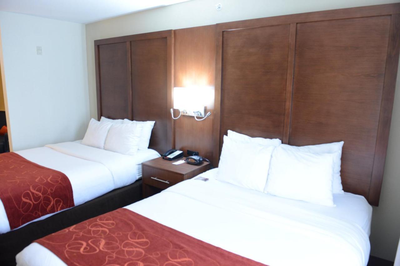 Comfort Urbana Champaign, University Area Hotel